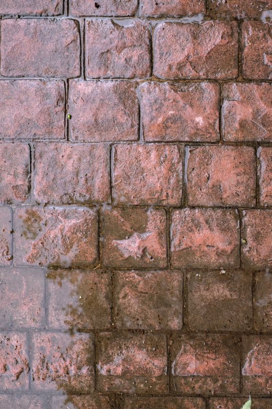 Decorative Concrete Repair in Olathe, KS