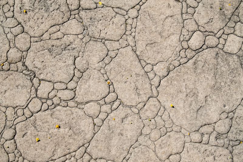 Decorative Concrete Repair in Grand Junction, CO